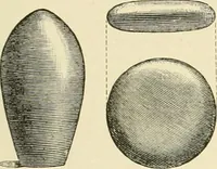 An illustration from The encyclopaedia of sport (1897)