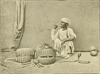 An illustration from The encyclopaedia of sport (1897)