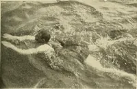 An illustration from The encyclopaedia of sport (1897)