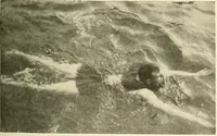 An illustration from The encyclopaedia of sport (1897)