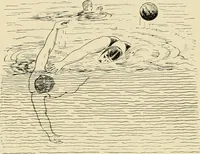 An illustration from The encyclopaedia of sport (1897)