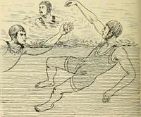 An illustration from The encyclopaedia of sport (1897)