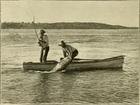 An illustration from The encyclopaedia of sport (1897)