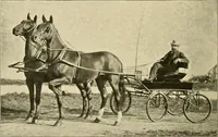 An illustration from The encyclopaedia of sport (1897)