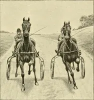An illustration from The encyclopaedia of sport (1897)