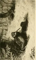 An illustration from The encyclopaedia of sport (1897)