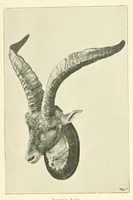 An illustration from The Encyclopædia of sport & games (1912)