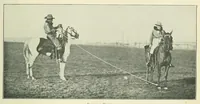 Picture 5 of 13 from The Encyclopædia of sport & games (1912), leaf 155