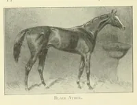 Picture 13 of 13 from The Encyclopædia of sport & games (1912), leaf 445