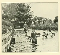 Picture 2 of 13 from The Encyclopædia of sport & games (1912), leaf 76