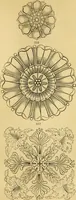 An illustration from An encyclopædia of cottage, farm, and villa architecture and furniture : containing numerous designs for dwellings from the cottage to the villa including farm houses, farmeries, and other agricultural buildings, several designs for country inns, public houses, and parochial schools, with the requisite fittings-up fixtures and furniture ; and appropriate offices, gardens and garden scenery ; each design accompanied by analytical and critical marks illustrative of the principles of archtiectural science and taste on whihc it is composed (1836)