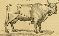 An illustration from An encyclopædia of cottage, farm, and villa architecture and furniture : containing numerous designs for dwellings from the cottage to the villa including farm houses, farmeries, and other agricultural buildings, several designs for country inns, public houses, and parochial schools, with the requisite fittings-up fixtures and furniture ; and appropriate offices, gardens and garden scenery ; each design accompanied by analytical and critical marks illustrative of the principles of archtiectural science and taste on whihc it is composed (1836)