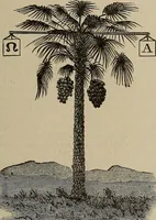 Picture 86 of 92 from An encyclopædia of freemasonry and its kindred sciences .. (1894), leaf 1051
