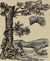 Picture 56 of 92 from An encyclopædia of freemasonry and its kindred sciences .. (1894), leaf 990