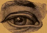 Picture 33 of 78 from Encyclopædia of human nature and physiognomy .. (1889), leaf 189