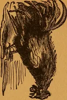 Picture 39 of 78 from Encyclopædia of human nature and physiognomy .. (1889), leaf 267