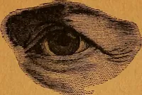 An illustration from Encyclopædia of human nature and physiognomy .. (1889)