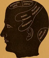 An illustration from Encyclopædia of human nature and physiognomy .. (1889)