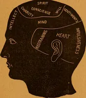 An illustration from Encyclopædia of human nature and physiognomy .. (1889)