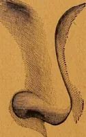 Picture 7 of 78 from Encyclopædia of human nature and physiognomy .. (1889), leaf 41