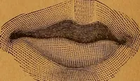Picture 13 of 78 from Encyclopædia of human nature and physiognomy .. (1889), leaf 54