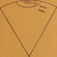 Picture 57 of 78 from Encyclopædia of human nature and physiognomy .. (1889), leaf 601