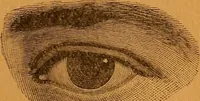 Picture 17 of 78 from Encyclopædia of human nature and physiognomy .. (1889), leaf 67