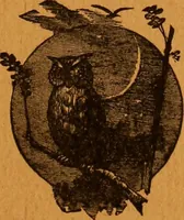 Picture 75 of 78 from Encyclopædia of human nature and physiognomy .. (1889), leaf 733