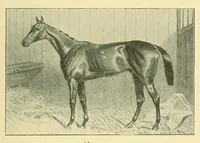An illustration from The encyclopædia of sport & games : with about 500 illustrations (1912)