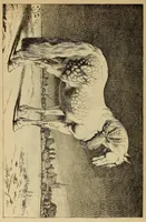 An illustration from Encyclopédie historique, archéologique, biographique, chronologique et monogrammatique des beaux-arts plastiques, architecture et mosaïque, céramique, sculpture, peinture et gravure (1873)
