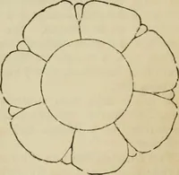 An illustration from Encyclopedia of antiquities : and elements of archaeology, classical and mediæval (1843)