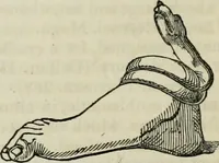 An illustration from Encyclopedia of antiquities : and elements of archaeology, classical and mediæval (1843)