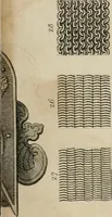 An illustration from Encyclopedia of antiquities : and elements of archaeology, classical and mediæval (1843)