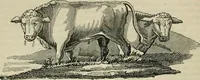 An illustration from Encyclopedia of antiquities : and elements of archaeology, classical and mediæval (1843)