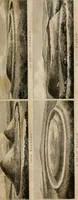 Picture 3 of 62 from Encyclopedia of antiquities : and elements of archaeology, classical and mediæval (1843), leaf 9