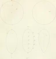 An illustration from Encyclopedia of architecture : a dictionary of the science and practice of architecture, building, carpentry, etc., from the earliest ages to the present time, forming a comprehensive work of reference for the use of architects, builders, carpenters, masons, engineers, students, professional men, and amateurs (1852)