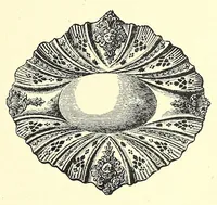 An illustration from The encyclopedia of ceramics, compiled by W. P. Jervis, with much original matter now first published.. (1902)