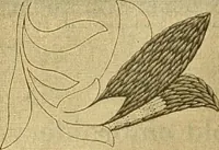 An illustration from Encyclopedia of needlework (1890)