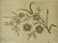 An illustration from Encyclopedia of needlework (1890)