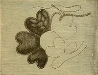 An illustration from Encyclopedia of needlework (1890)