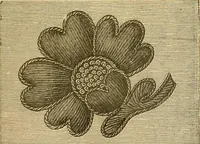 An illustration from Encyclopedia of needlework (1890)