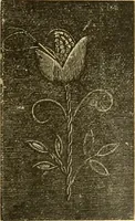 An illustration from Encyclopedia of needlework (1890)