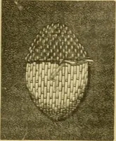 Picture 175 of 703 from Encyclopedia of needlework (1890), leaf 131