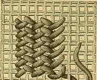 An illustration from Encyclopedia of needlework (1890)