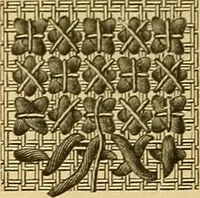 An illustration from Encyclopedia of needlework (1890)
