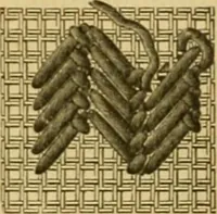 Picture 192 of 703 from Encyclopedia of needlework (1890), leaf 139