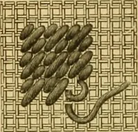 Picture 196 of 703 from Encyclopedia of needlework (1890), leaf 141