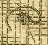 An illustration from Encyclopedia of needlework (1890)