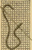 An illustration from Encyclopedia of needlework (1890)