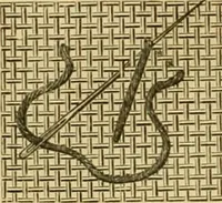 An illustration from Encyclopedia of needlework (1890)